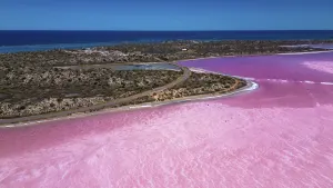 Pink Lake Flight